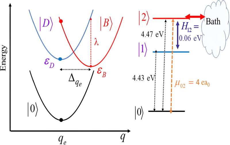 Capturing the evolution of complex quantum systems