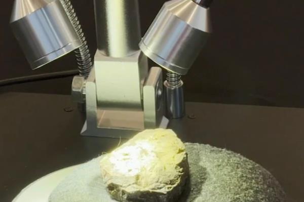 Prehistoric fossils discovered at San Pedro High School co<em></em>nstruction site