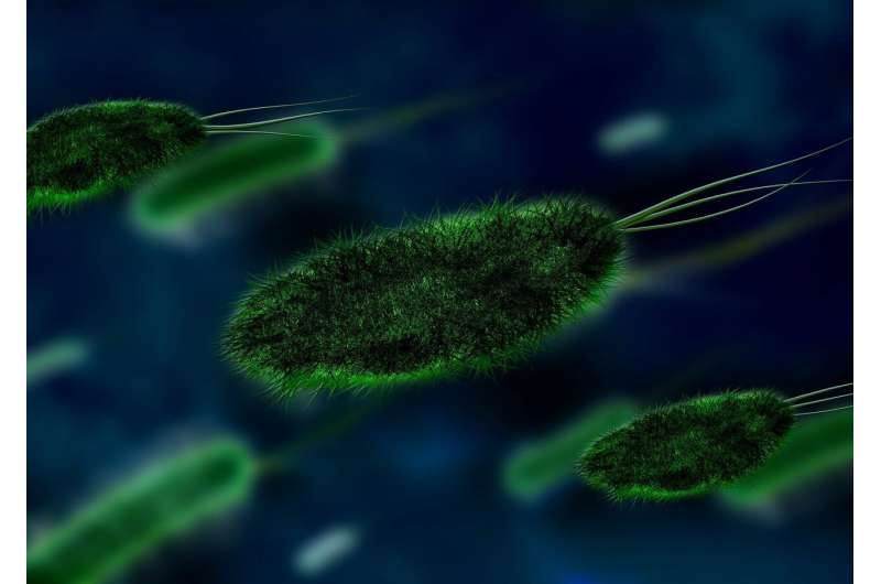 microbe