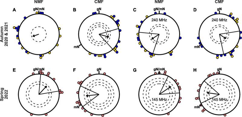 Which radio waves disrupt the magnetic sense in migratory birds?