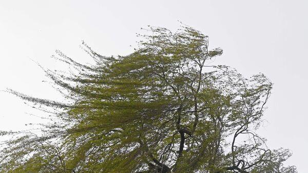 Storms Elin and Fergus named as weather warnings in place across Ireland