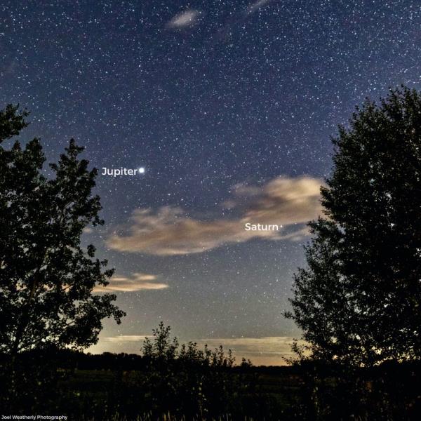 A dark twilight sky, with two trees in foreground, and many stars and two bright planets.