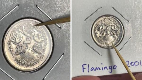数字5尾部的额外金属块看起来像火烈鸟，因此得名火烈鸟错误。