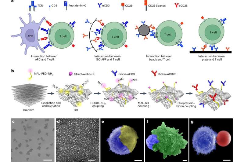 Immune-based treatment gets a boost to its cancer-fighting superpowers