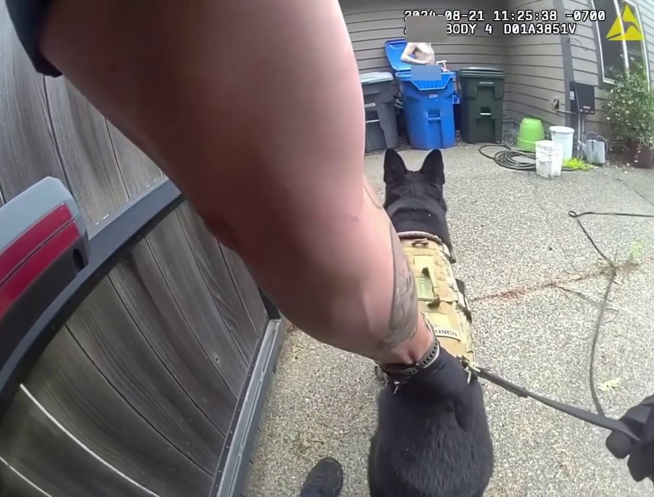 K9野马被一名警员牵着,赤裸的男子从垃圾桶里出来