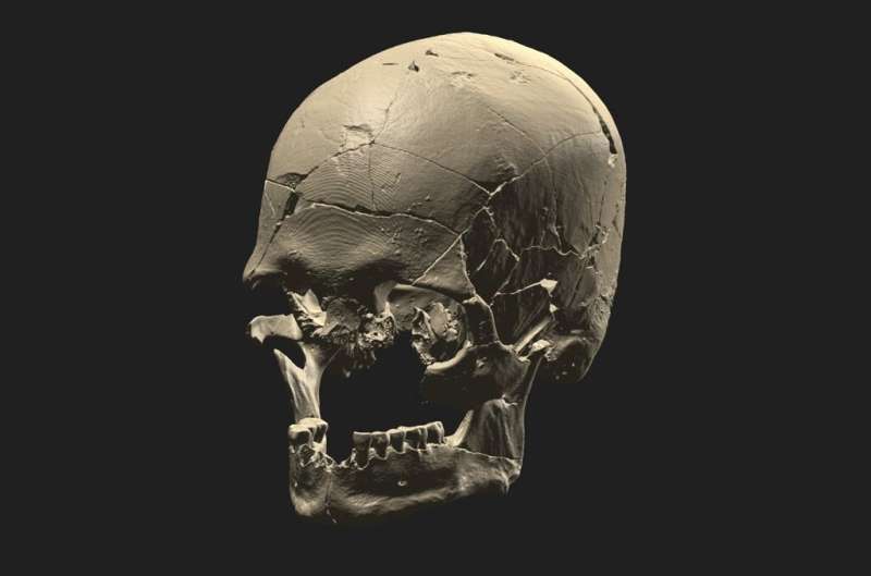 Luzio, who lived in São Paulo 10,000 years ago, was Amerindian like Indigenous people now, DNA reveals