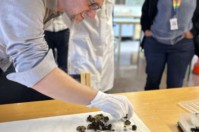An archaeological find on an island in southern Norway is dubbed the gold find of the century