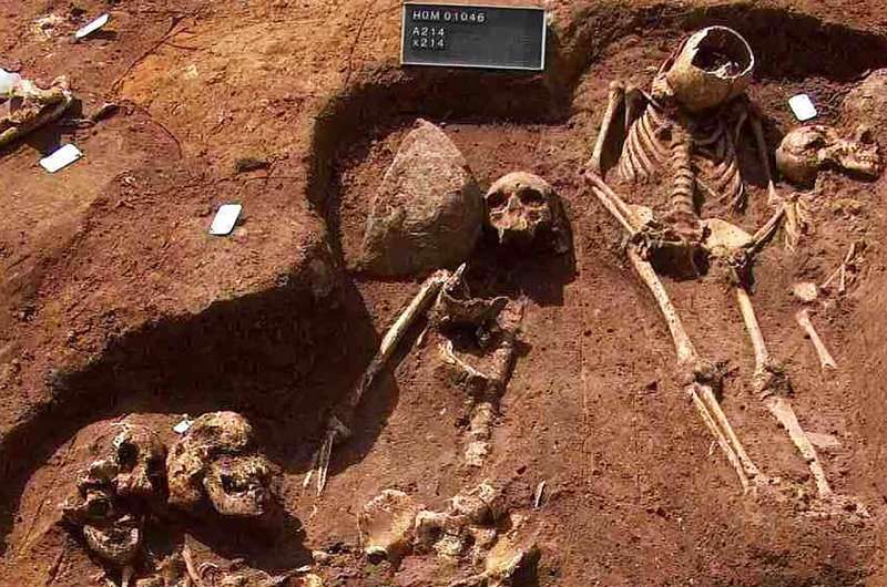 New insights into the evolution of the plague pathogen