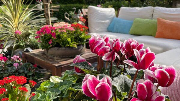 Peter Dowdall: How to turn our gardens into wildlife havens