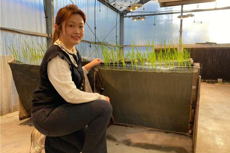 开创性研究利用松木废料改善土壤