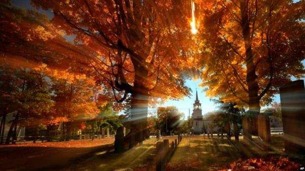 FILE - In this photo taken with a slow shutter speed, autumn's colors peak on hardwood trees in a cemetery near the Congregational Church, Oct. 10, 2016, in Cumberland, Maine. Experts say some of 2024's most vibrant foliage will be in parts of the Midwest.