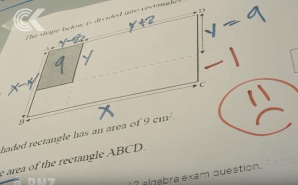 新西兰NCEA二级数学考试错误。