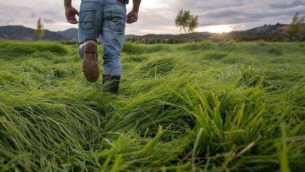 Farmers urged to prioritise safety while working over the festive period
