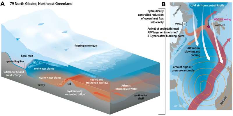 Atmospheric blocking slows ocean-driven melting of Greenland's largest glacier tongue