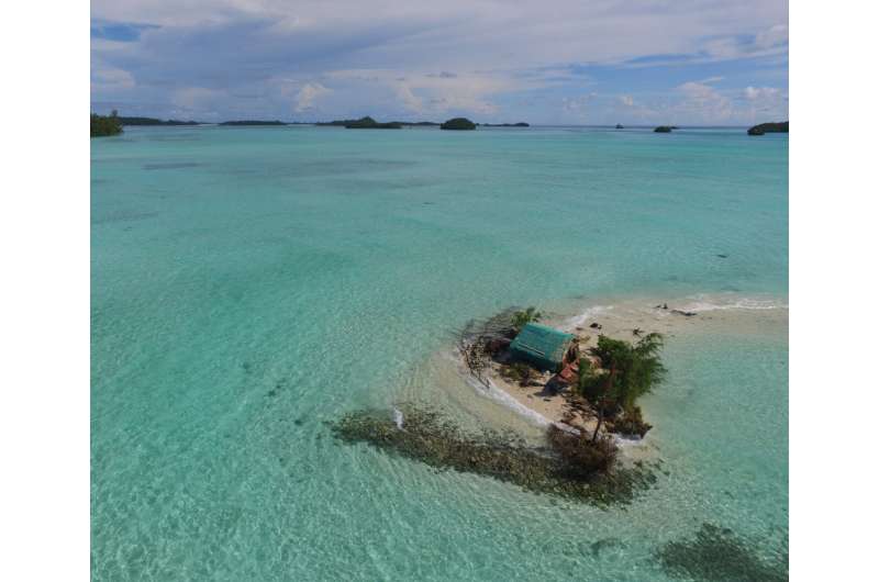 Will the world's mangroves, marshes and coral survive warm, rising seas this time?