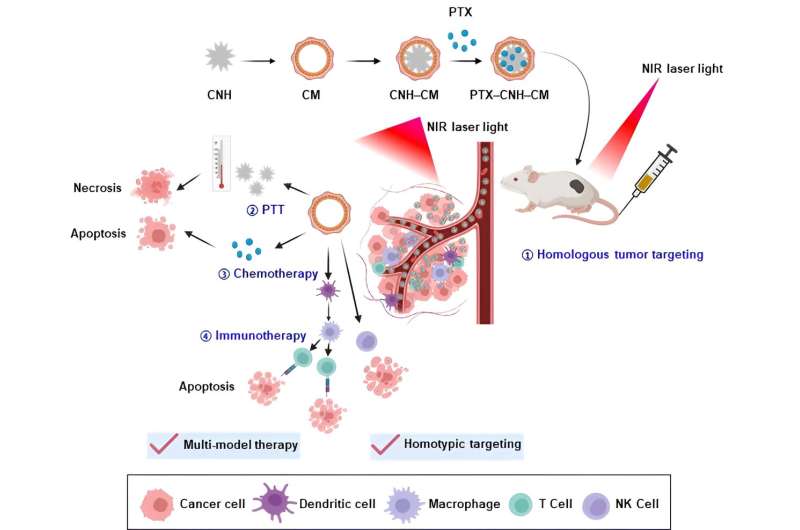 Cancer-cell-membrane-wrapped carbon nanohorn for efficient delivery of drugs in cancer therapy