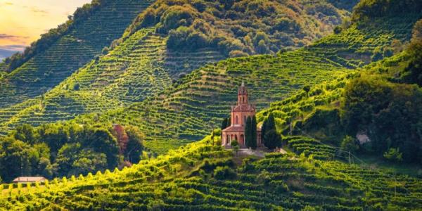 Prosecco no more? How climate change is a threat to mountain vineyards