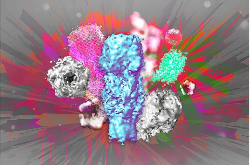 One-step nanoscale expansion microscopy: From molecule to 3D structure with a conventional microscope