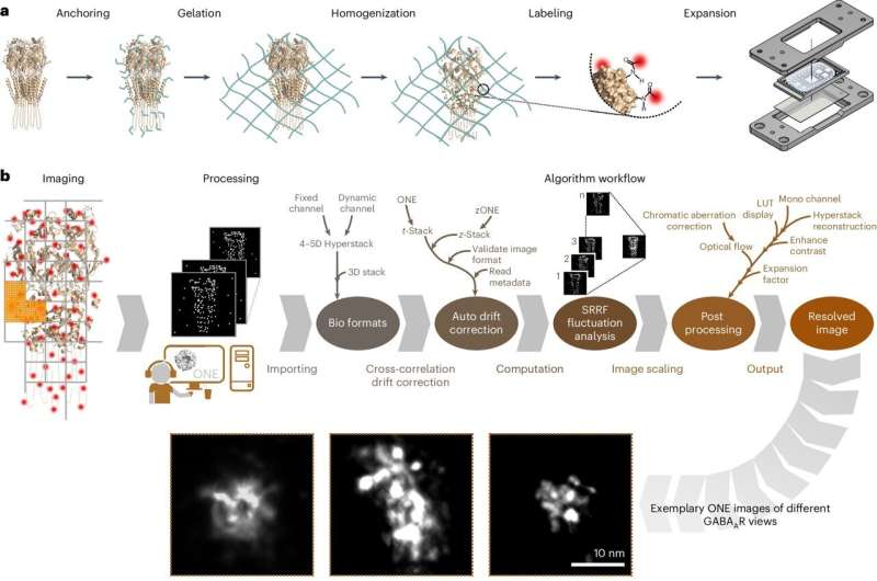 ONE microscopy: From molecule to 3D structure with conventional microscopy
