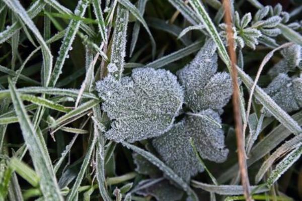 Falling temperatures are expected over the next few days. File picture: Denis Minihane Falling temperatures are expected over the next few days. File picture: Denis Minihane
