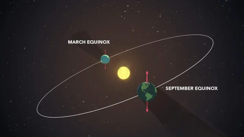 Drawing of a yellow sun in space, with an ova shape around it (an orbital path). Two titled Earths are located opposite each other on the orbital path.