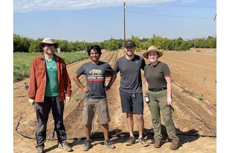 Study improves understanding of how bacteria benefit plant growth