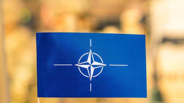 Nato announces formal suspension of Cold War-era treaty after Russia withdrawal