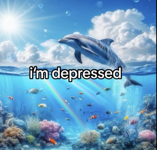 The 'Symphony' dolphin trend on TikTok
