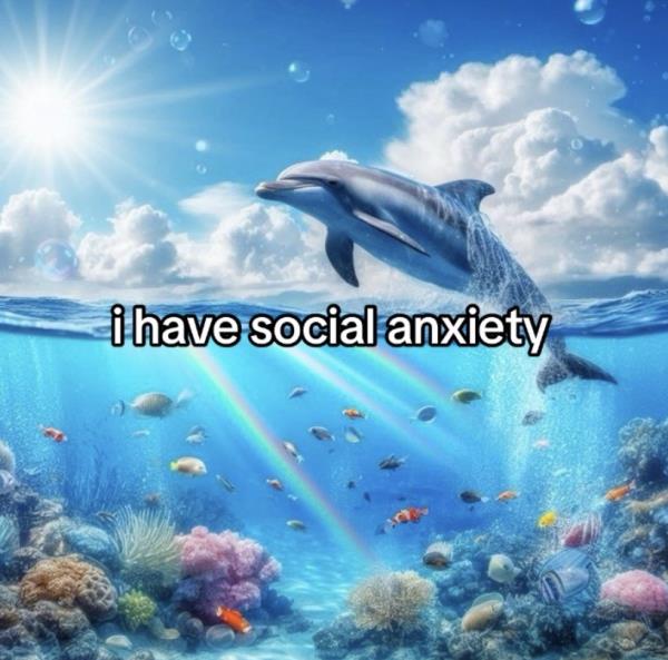 Dolphin trend on TikTok