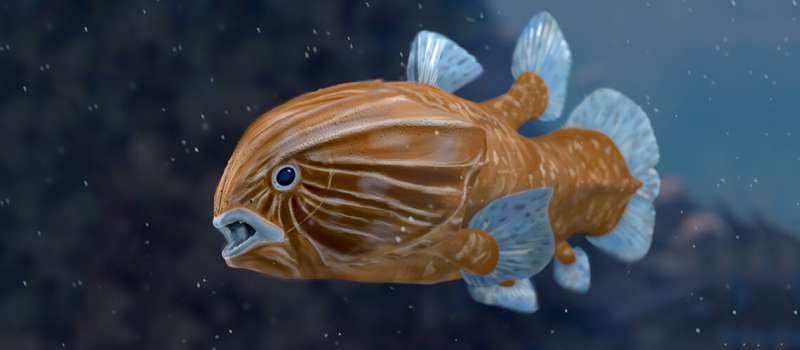 Coelacanths thrived in Switzerland after a mass extinction