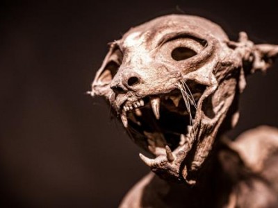 Egyptian mummified cat in Louvre