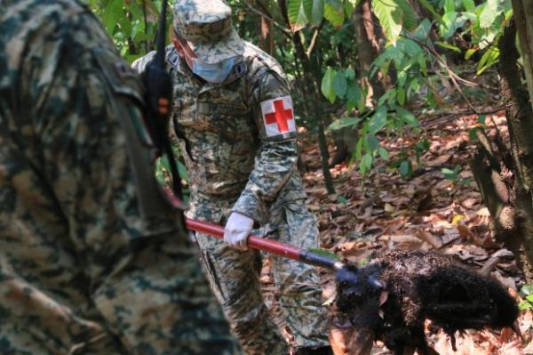 一名士兵在极高温度下移走一只死去的吼猴的尸体,地点在墨西哥塔巴斯科州的特科卢蒂利亚,2024年5月21日。(美联社照片/路易斯·桑切斯)