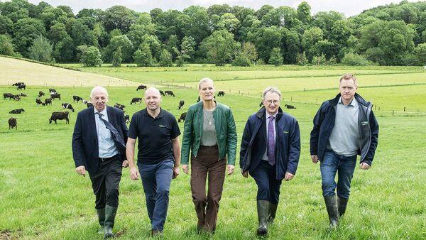 Tree planting can be a 'highly effective measure' in enhancing water quality 