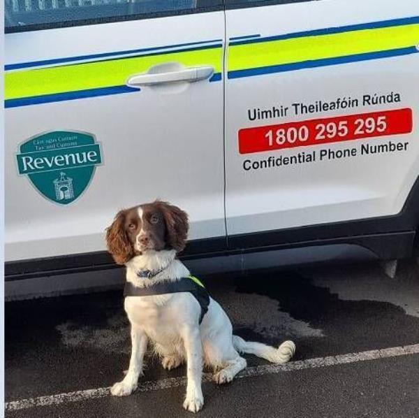 Gardaí have seized heroin with an estimated street value of €8m on a plane at Weston Airport in Dublin. Picture: Sasko Lazarov / RollingNews.ie Gardaí have seized heroin with an estimated street value of €8m on a plane at Weston Airport in Dublin. Picture: Sasko Lazarov / RollingNews.ie
