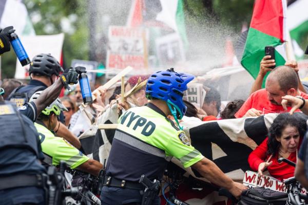 US Capitol police, alongside members of the NYPD, pepper spray protesters who gathered against the Israeli operations in Gaza and US weapons sales to Israel outside the US Capitol