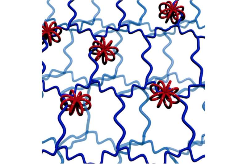 Multicyclic molecular wheels with polymer potential