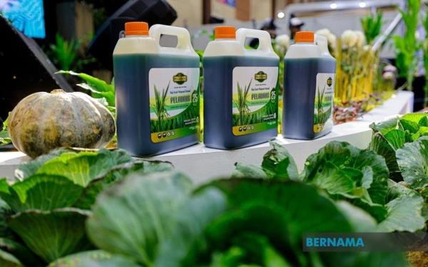 National Farmers group chairman rejects cartel, monopoly claims in fertiliser distribution