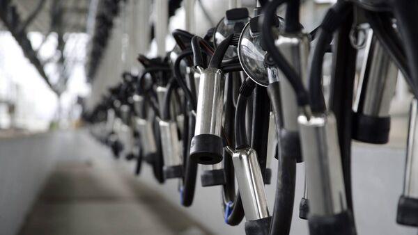 39c/litre an 'absolutely realistic price' for December milk payments