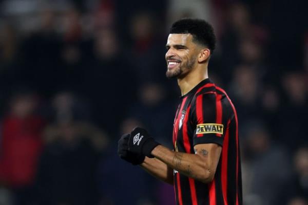 AFC Bournemouth v Newcastle United - Premier League