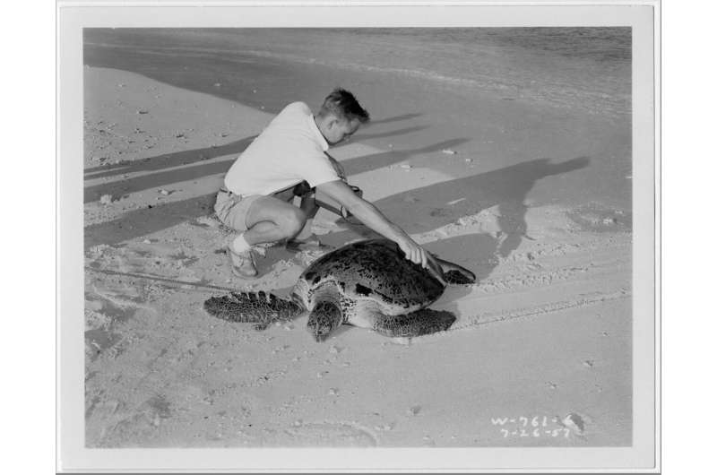 Uranium signatures in turtles and tortoises near nuclear testing and waste sites