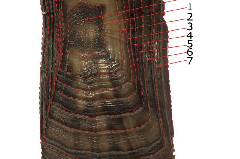 Uranium signatures in turtles and tortoises near nuclear testing and waste sites