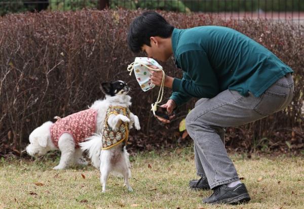 LG　Uplus　buys　pet　Airbnb　startup　to　boost　pet　care　services