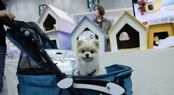 LG　Uplus　buys　pet　Airbnb　startup　to　boost　pet　care　services