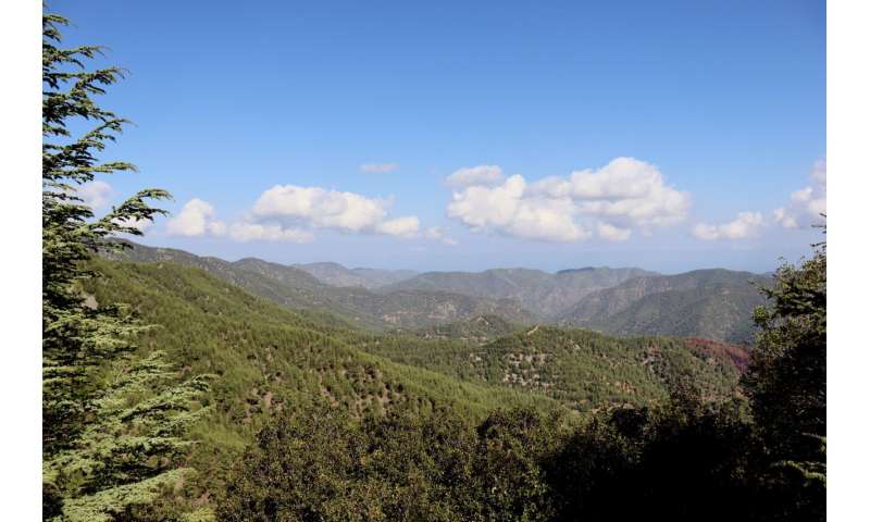 揭开古代欧洲灭绝之谜：旧石器时代塞浦路斯岛侏儒巨型动物消失