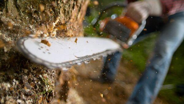 Farmers urged to review safety standards of chainsaws 