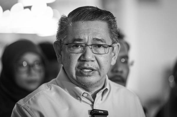 穆尤丁、哈迪及其他政党领导人对萨拉赫丁的去世感到悲痛