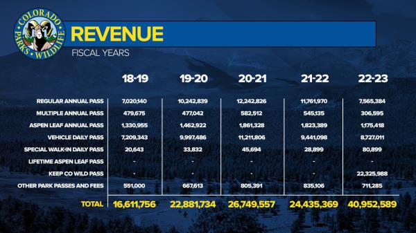 FSG Revenue.jpg