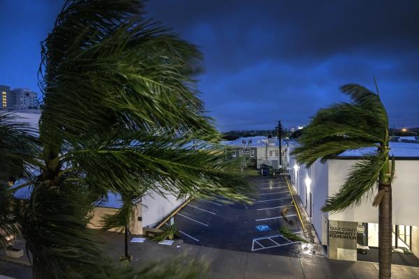 Trees affected by strong winds brought on by Hurricane Milton in Sarasota, Florida, U.S., Oct. 9, 2024. (EPA Photo)