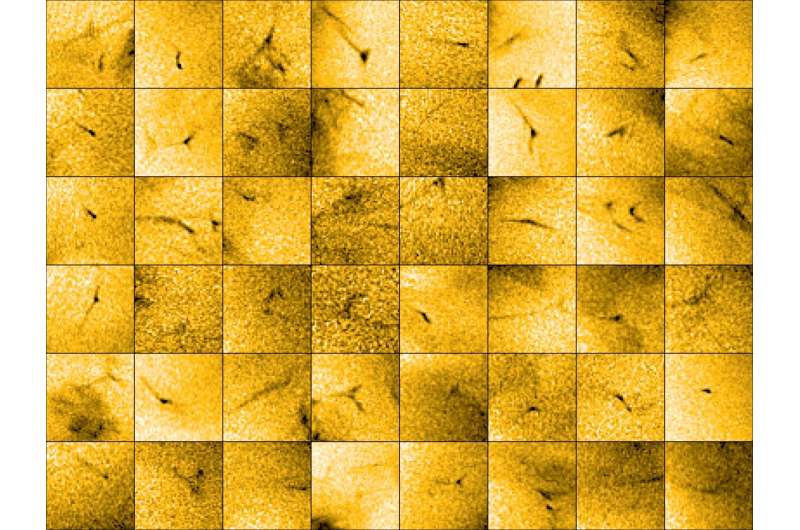 Solar Orbiter discovers tiny jets that could power the solar wind