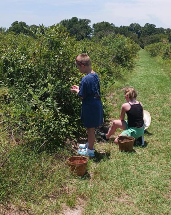 Allen and girl picking fruit 